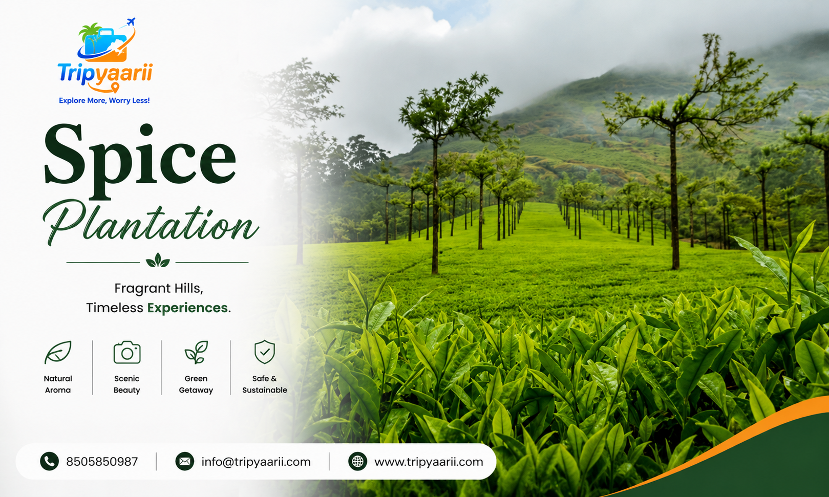 Spice Plantation Thekkady